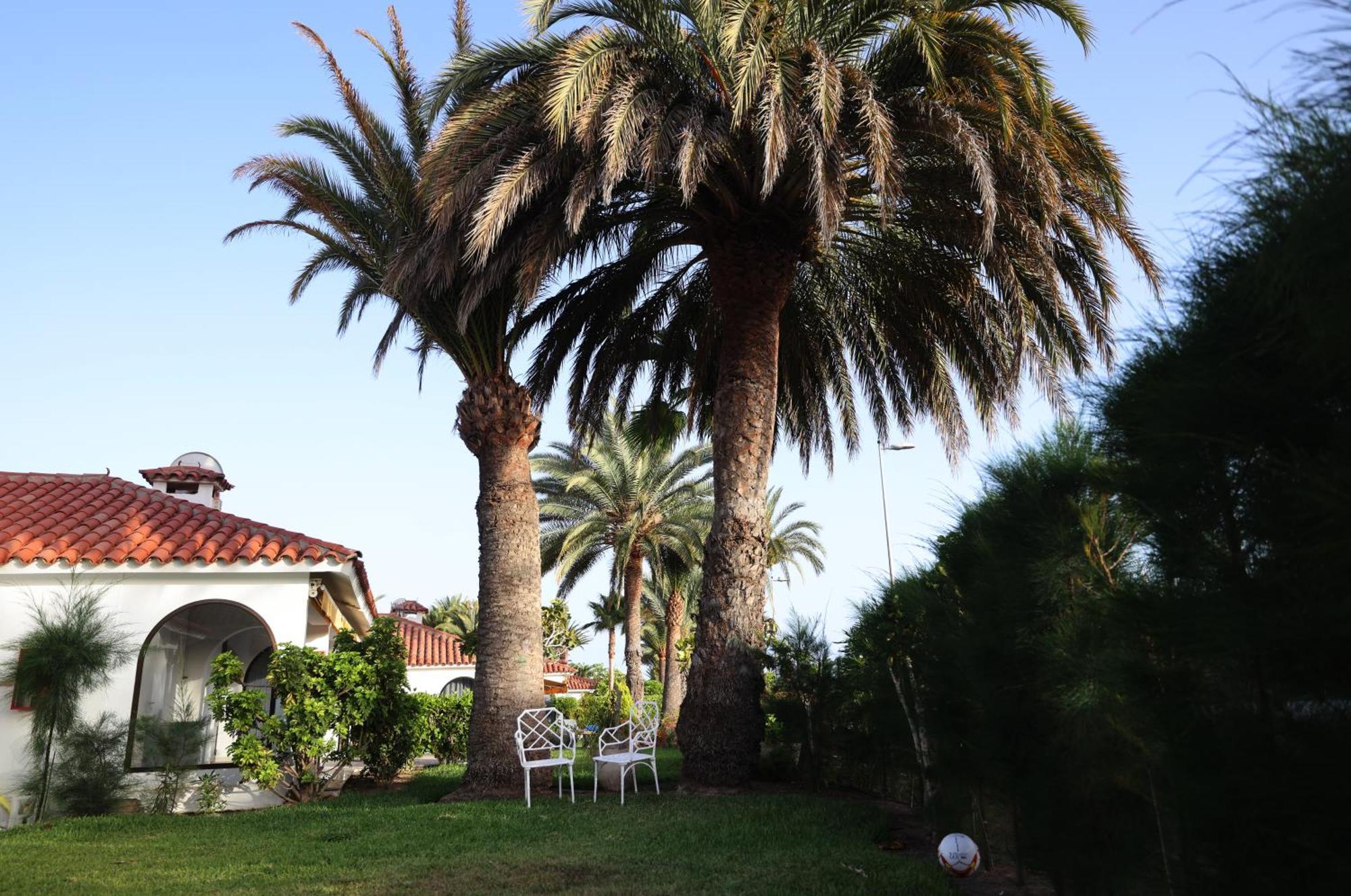 מלון Sun Club Playa Del Ingles מראה חיצוני תמונה