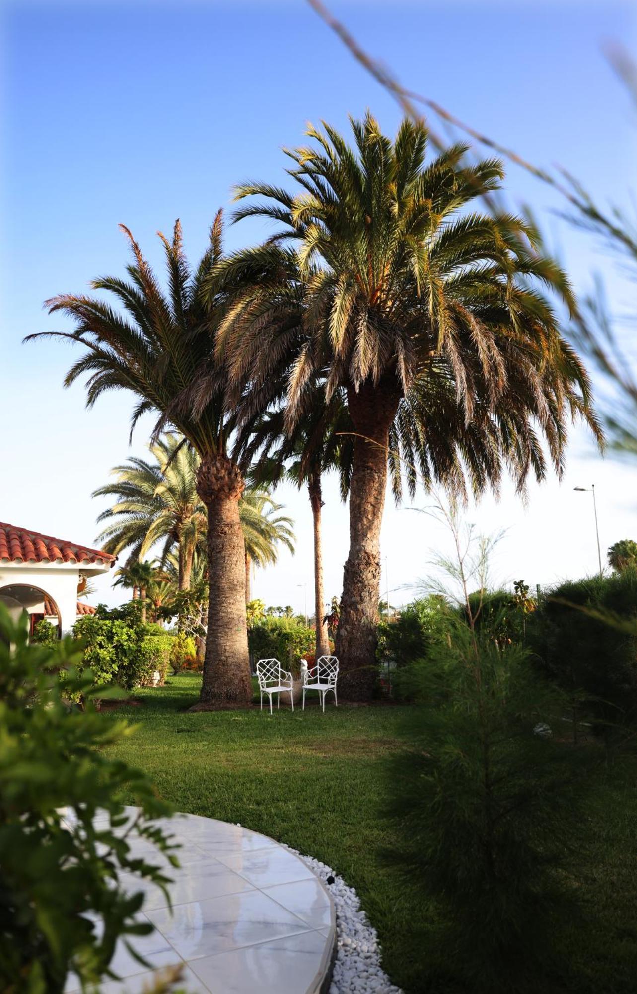 מלון Sun Club Playa Del Ingles מראה חיצוני תמונה